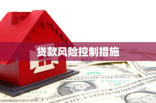 永安贷款风险控制措施
