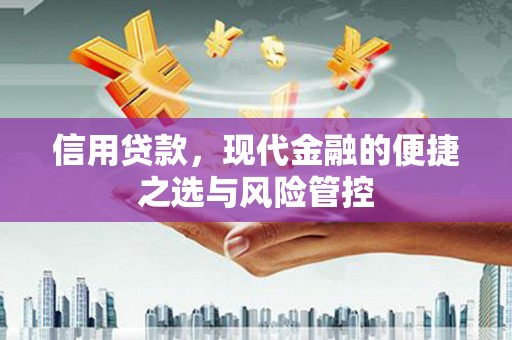 永安信用贷款，现代金融的便捷之选与风险管控