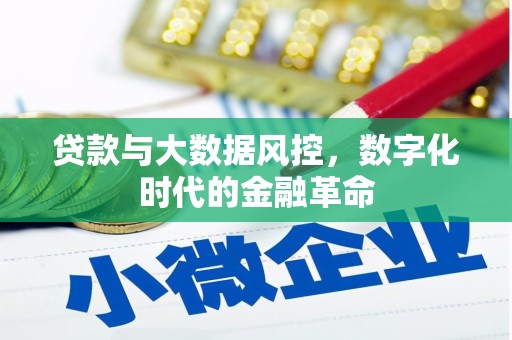 永安贷款与大数据风控，数字化时代的金融革命