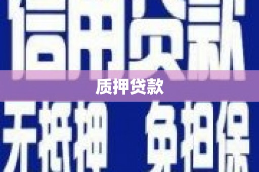 永安质押贷款