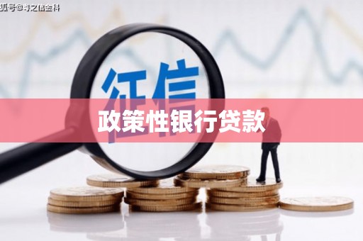 永安政策性银行贷款