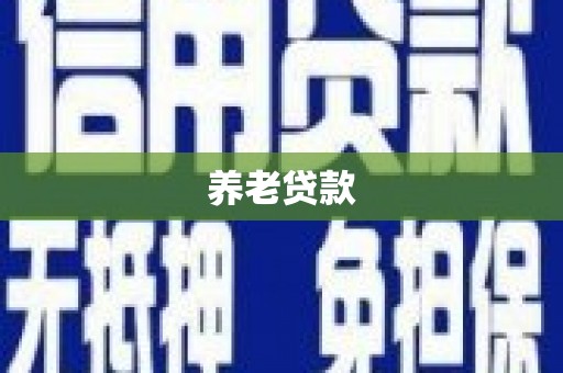 永安养老贷款