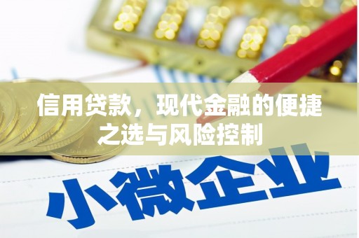 永安信用贷款，现代金融的便捷之选与风险控制