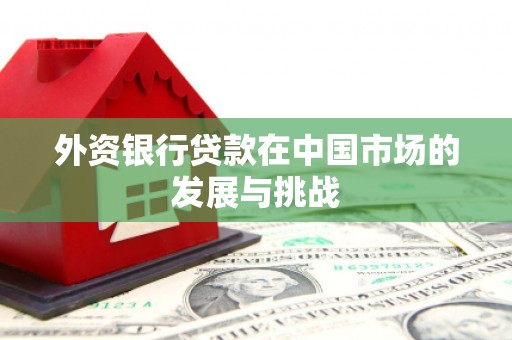 永安外资银行贷款在中国市场的发展与挑战