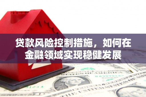 永安贷款风险控制措施，如何在金融领域实现稳健发展