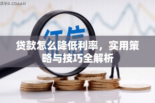 永安贷款怎么降低利率，实用策略与技巧全解析
