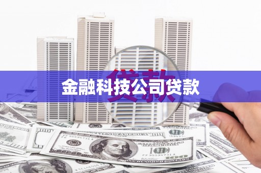 永安金融科技公司贷款