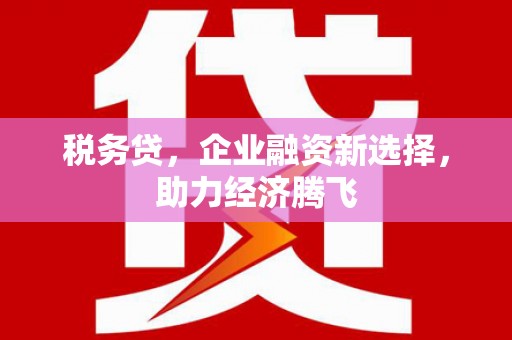 永安税务贷，企业融资新选择，助力经济腾飞