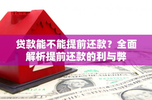 永安贷款能不能提前还款？全面解析提前还款的利与弊
