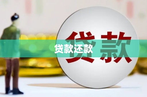 永安贷款还款