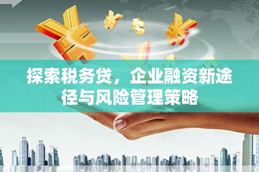 永安探索税务贷，企业融资新途径与风险管理策略
