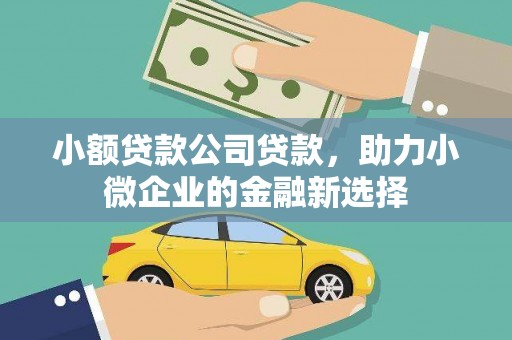 永安小额贷款公司贷款，助力小微企业的金融新选择