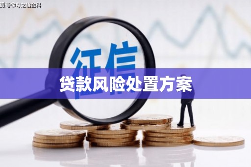 永安贷款风险处置方案