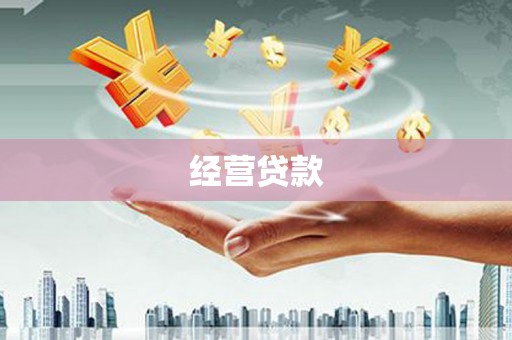 永安经营贷款