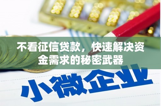 永安不看征信贷款，快速解决资金需求的秘密武器