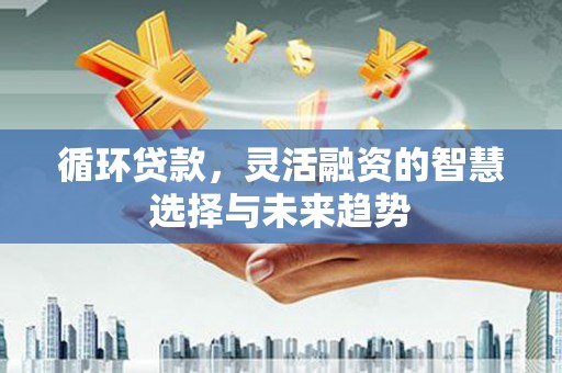 永安循环贷款，灵活融资的智慧选择与未来趋势