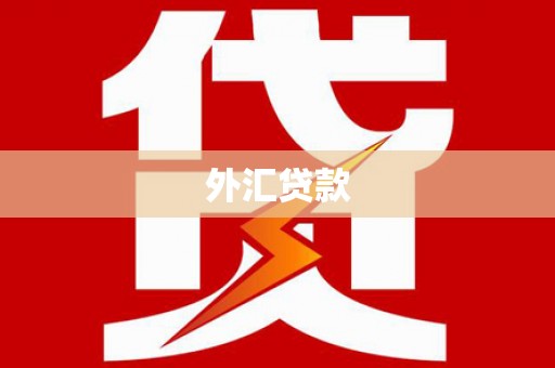 永安外汇贷款