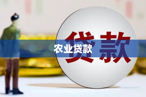 永安农业贷款