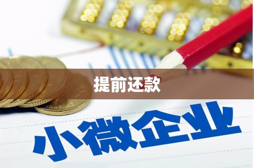 永安提前还款