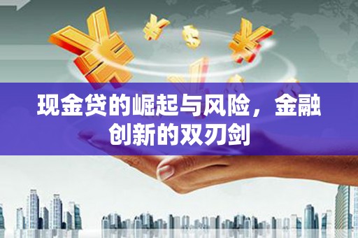 永安现金贷的崛起与风险，金融创新的双刃剑