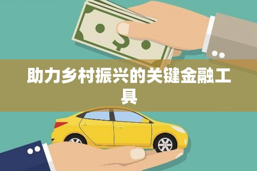 永安助力乡村振兴的关键金融工具