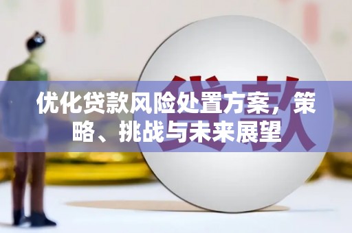 永安优化贷款风险处置方案，策略、挑战与未来展望