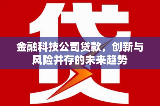 永安金融科技公司贷款，创新与风险并存的未来趋势