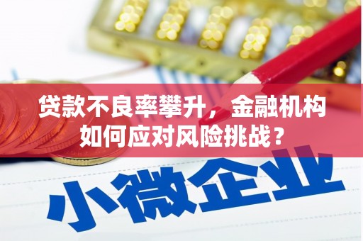 永安贷款不良率攀升，金融机构如何应对风险挑战？