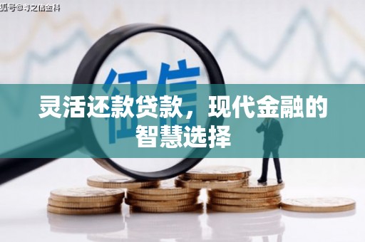 永安灵活还款贷款，现代金融的智慧选择