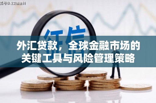 永安外汇贷款，全球金融市场的关键工具与风险管理策略
