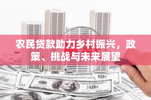 永安农民贷款助力乡村振兴，政策、挑战与未来展望