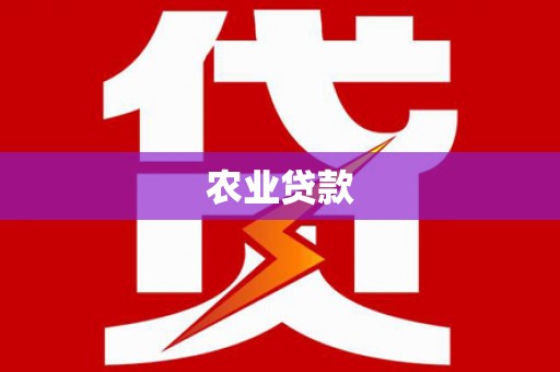 永安农业贷款