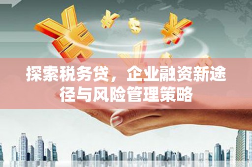 永安探索税务贷，企业融资新途径与风险管理策略