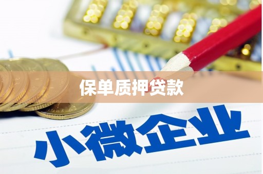 永安保单质押贷款