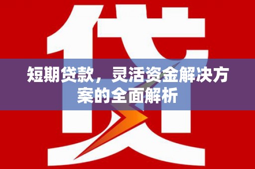 永安短期贷款，灵活资金解决方案的全面解析