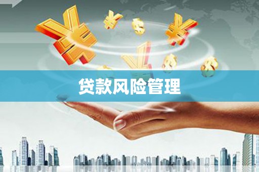 永安贷款风险管理
