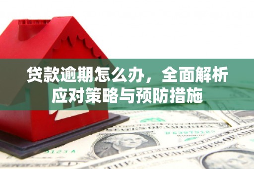 永安贷款逾期怎么办，全面解析应对策略与预防措施