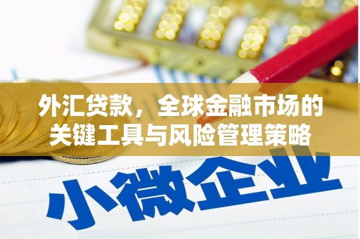永安外汇贷款，全球金融市场的关键工具与风险管理策略