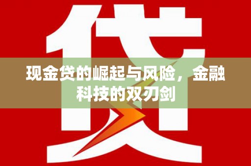 永安现金贷的崛起与风险，金融科技的双刃剑