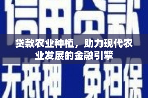 永安贷款农业种植，助力现代农业发展的金融引擎