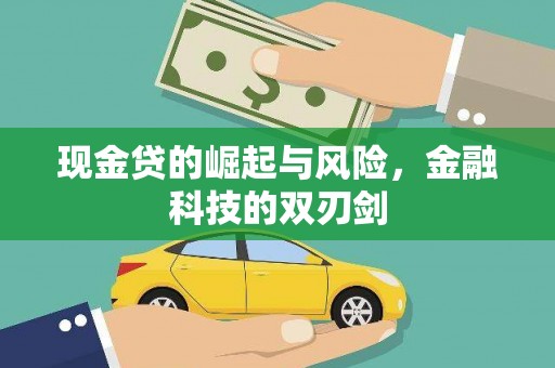 永安现金贷的崛起与风险，金融科技的双刃剑
