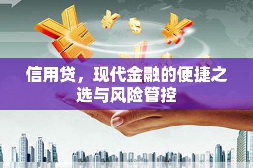 永安信用贷，现代金融的便捷之选与风险管控