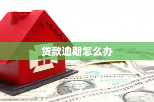 永安贷款逾期怎么办