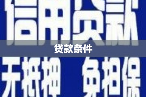 永安贷款条件