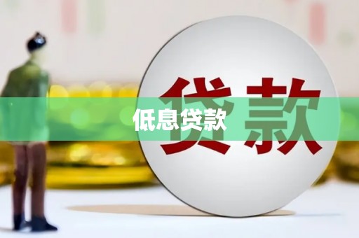 永安低息贷款