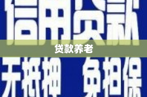 永安贷款养老
