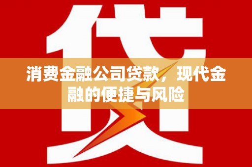 永安消费金融公司贷款，现代金融的便捷与风险