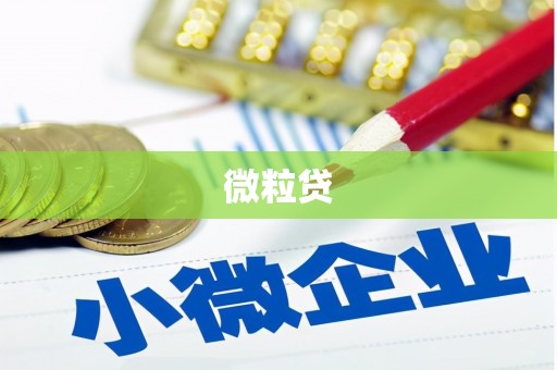 永安微粒贷