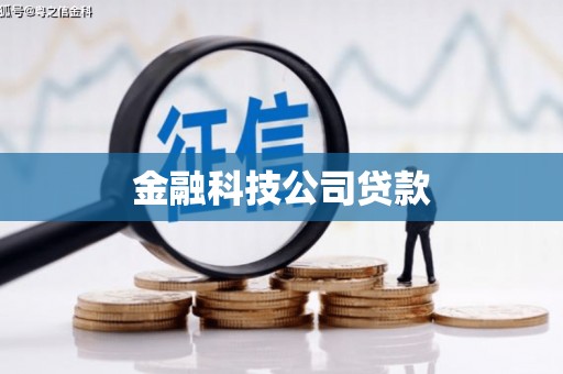 永安金融科技公司贷款