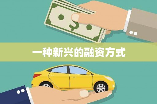 永安一种新兴的融资方式